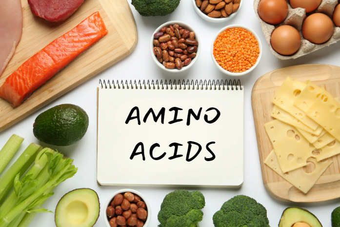 What does amino acids do: amino acid foods