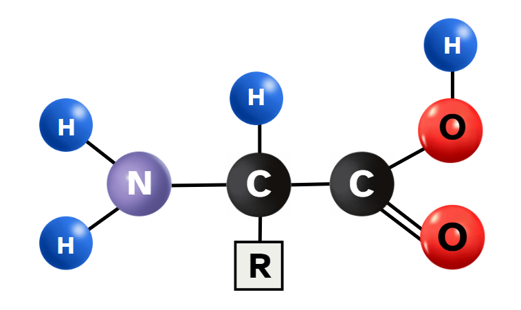 R-CH(NH2)-COOH amino acid