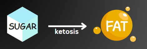Convert glucose to fat and produce ketosis.