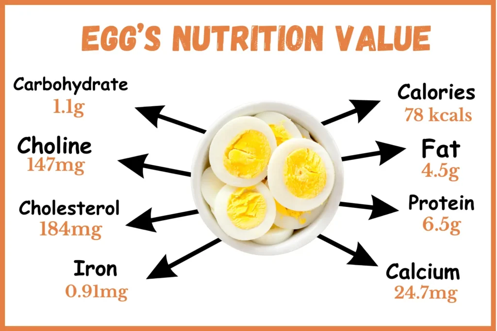 Egg nutrition value