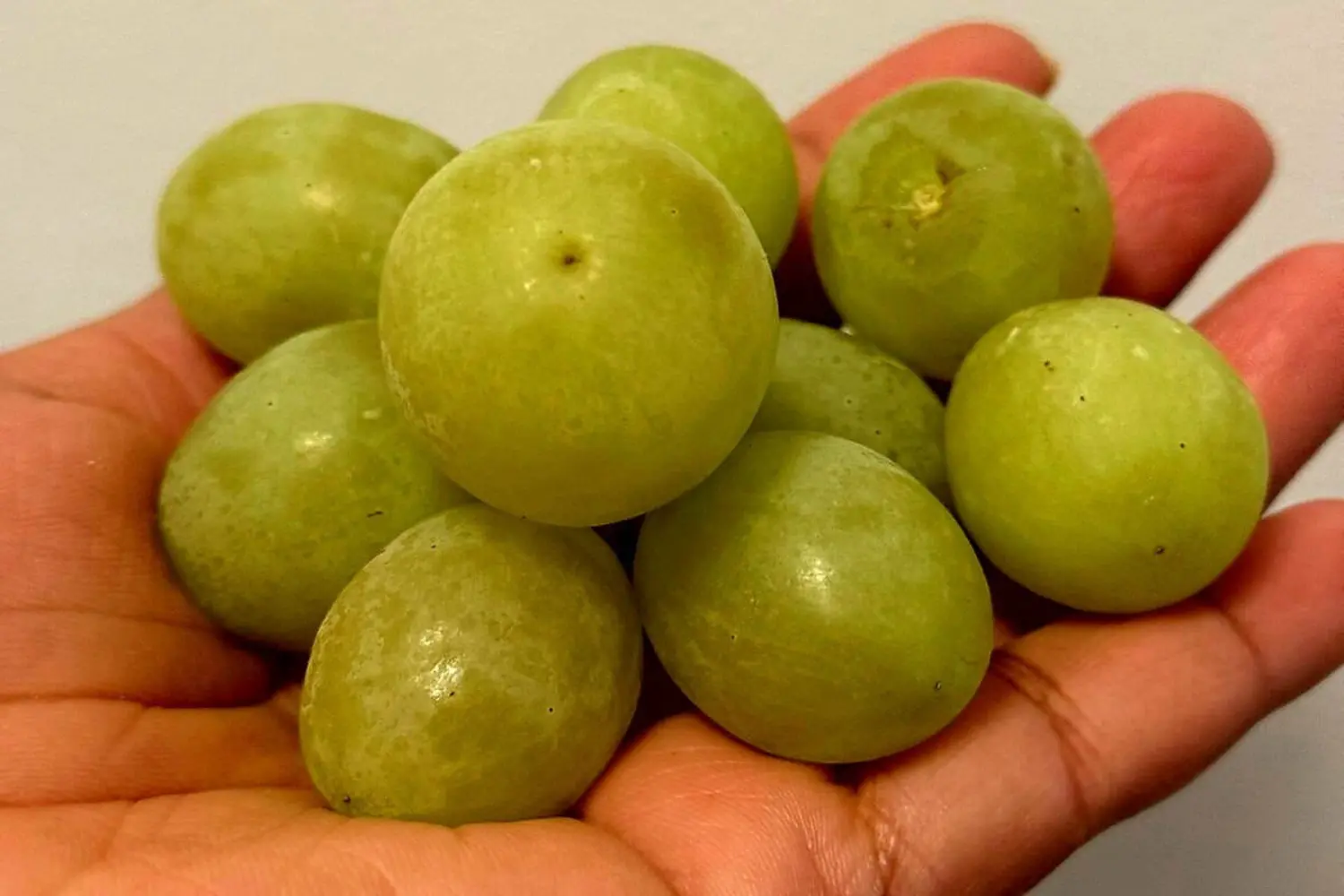 Green grapes nutrition